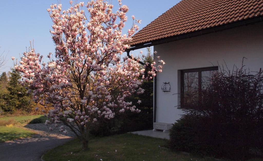 Apartmany Pod Kozakovem Tatobity Buitenkant foto
