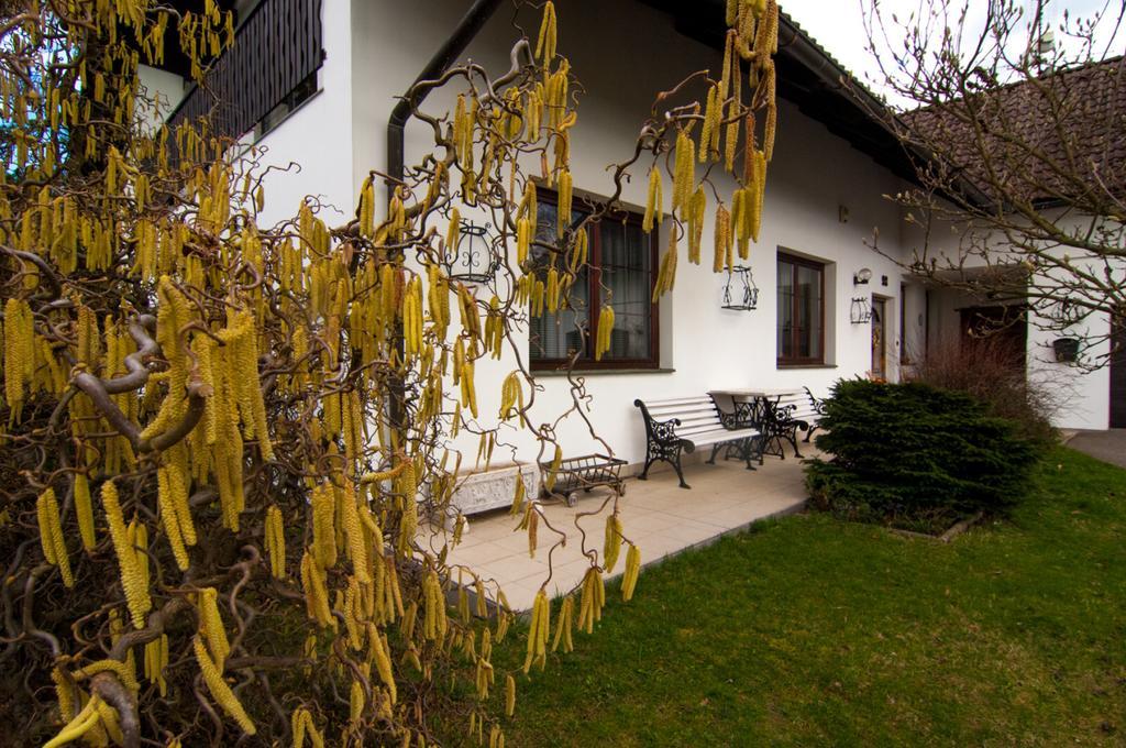 Apartmany Pod Kozakovem Tatobity Buitenkant foto